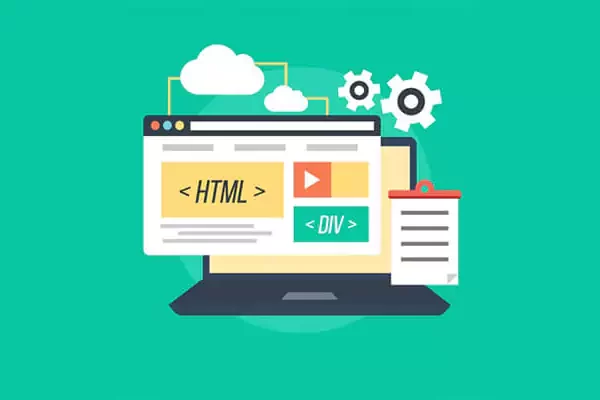 Profesyonel Web Tasarım